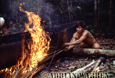 AW_Waorani35, Waorani Indians : dug-out Canoe making, rio Cononaco, Ecuador, 1983