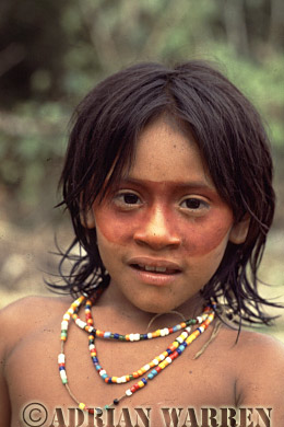 AW_Waorani01, Waorani Indians, children : Use of ACHIOTE for decoration, rio Cononaco, Ecuador, 1983