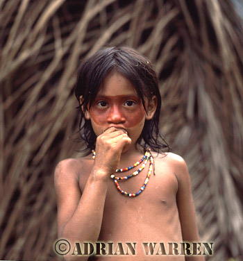 AW_Waorani03, Waorani Indians, children : Use of ACHIOTE for decoration, rio Cononaco, Ecuador, 1983