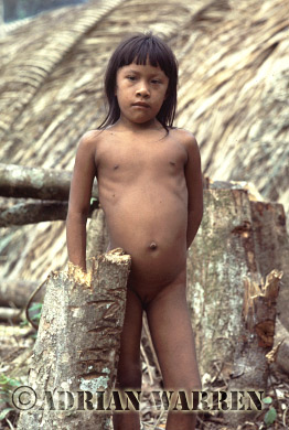 AW_Waorani07, Waorani Indians : a Girl, rio Cononaco, Ecuador, 1983
