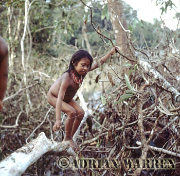 AW_Waorani13, Waorani Indian girl : rio Cononaco, Ecuador, 1983
