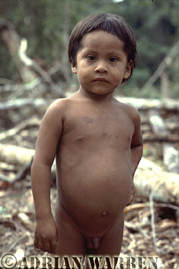 AW_Waorani14, Waorani Indian boy : rio Cononaco, Ecuador, 1983