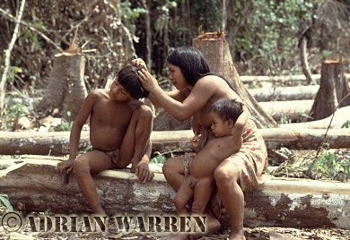 AW_Waorani19, Waorani Indians, family grooming, Rio Cononaco, Ecuador, 1983