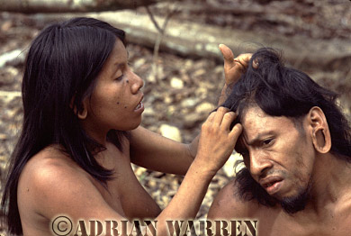 AW_Waorani22, Waorani Indians,Couple grooming, Rio Cononaco, Ecuador, 1983