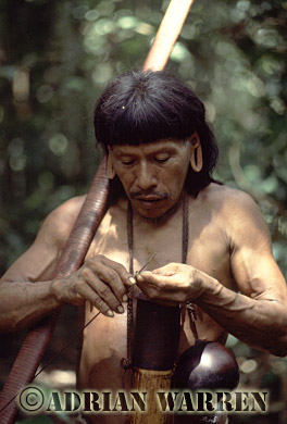 AW_Waorani127, Waorani Indians : Caempaede hunting, rio Cononaco, Ecuador, 1983