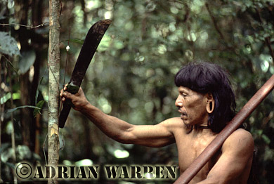 AW_Waorani128, Waorani Indians : Caempaede hunting, rio Cononaco, Ecuador, 1983