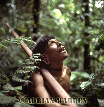 AW_Waorani41, Waorani Indians : Caempaede hunting, rio Cononaco, Ecuador, 1983