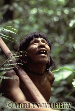 AW_Waorani44, Waorani Indians : Caempaede hunting, rio Cononaco, Ecuador, 1983