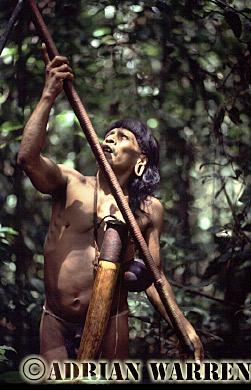 AW_Waorani45, Waorani Indians : Caempaede hunting, rio Cononaco, Ecuador, 1983