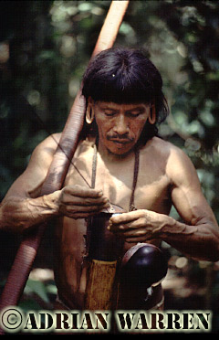 AW_Waorani46, Waorani Indians : Caempaede hunting, rio Cononaco, Ecuador, 1983