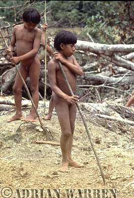 AW_Waorani51, Waorani Indians : boys leaning to spear, rio Cononaco, Ecuador, 1983