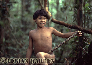 AW_Waorani53, Waorani Indians : boy leaning to use Blow gun, rio Cononaco, Ecuador, 1983