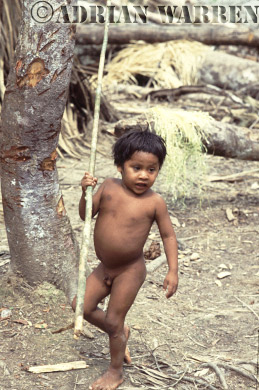 AW_Waorani54, Waorani Indians : boy leaning to spear, rio Cononaco, Ecuador, 1983