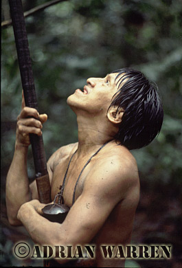 AW_Waorani56, Waorani Indians : hunting, rio Cononaco, Ecuador, 1983