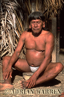 AW_Waorani1075, Waorani Indians : Caempaede, Settlement near airstrip, rio Cononaco, Ecuador, 2002