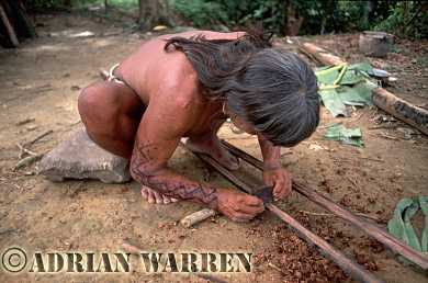 AW_Waorani1081, Waorani Indians : Caempaede making Blowgun