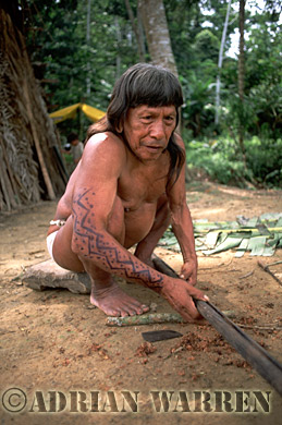 AW_Waorani1084, Waorani Indians : Caempaede making Blowgun, 2002