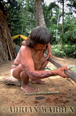 AW_Waorani1085, Waorani Indians : Caempaede making Blowgun Blowgun, 2002