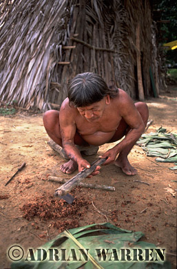 AW_Waorani1086, Waorani Indians : Caempaede making Blowgun