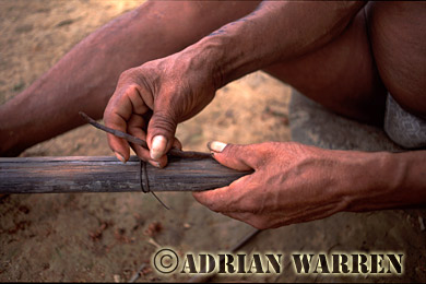 AW_Waorani1087, Waorani Indians : Caempaede making Blowgun 2002