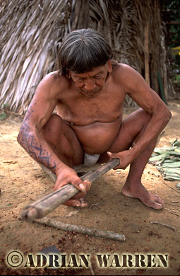 AW_Waorani1089, Waorani Indians : Caempaede making Blowgun 2002