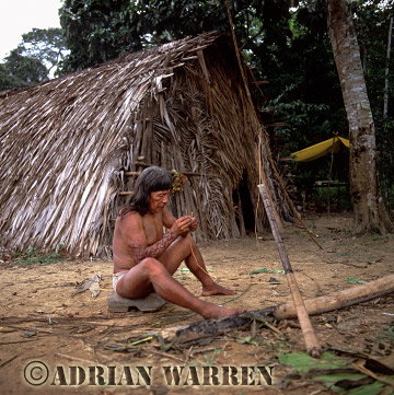 AW_Waorani1090, Waorani Indians : Caempaede making Blowgun 2002