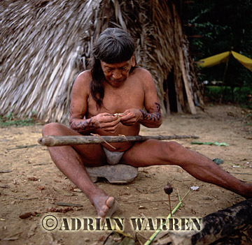 AW_Waorani1092, Waorani Indians : Caempaede making Blowgun