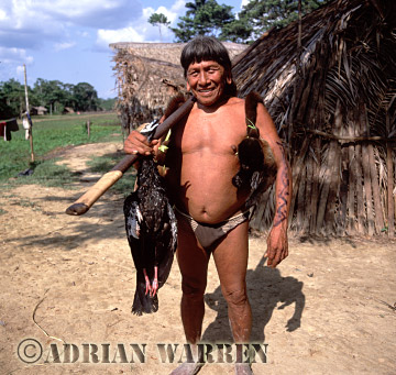 AW_Waorani1097, Waorani Indians : Caempaede after a sucessful hunt with blowgun