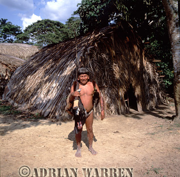 AW_Waorani1098, Waorani Indians : Caempaede after a sucessful hunt with blowgun