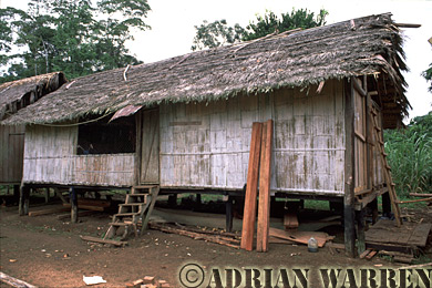 AW_Waorani1032, Waorani Indians : House at Tonaempaede, Ecuador, 2002