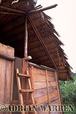 AW_Waorani1033, Waorani Indians : House at Tonaempaede, Ecuador, 2002