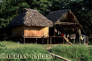 AW_Waorani1035, Waorani Indians : New style house at Cononaco airstrip, Ecuador, 2002