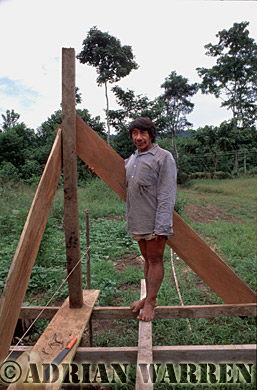 AW_Waorani1036, Waorani Indians : House construction at Tonaempaede, Ecuador, 2002
