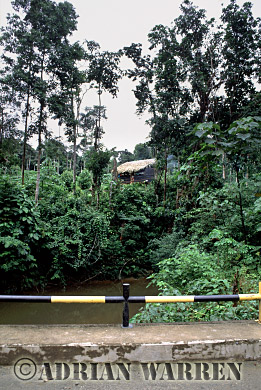 AW_Waorani1040, Waorani Indians : Settlement by oil company road to Gadeno, Ecuador, 2002