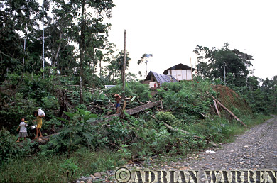 AW_Waorani1042, Waorani Indians : Oil company road to Gadeno, Ecuador, 2002