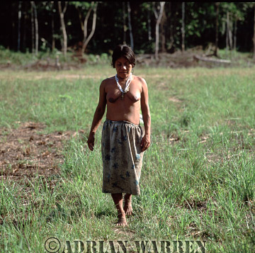 AW_Waorani1057, Waorani Indians : Miniwa's wife, rio Cononaco, Ecuador, 2002