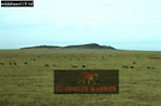 Preview of: 
wildebeest13.jpg 
360 x 239 compressed image 
(69,582 bytes)