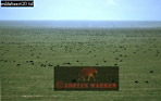 Preview of: 
wildebeest14.jpg 
360 x 227 compressed image 
(73,375 bytes)