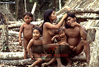 Waorani Indians: grooming, 1983