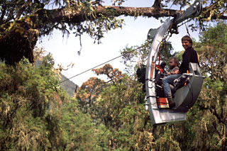 Adrian Warren and Neil Rettig on IMAX Cable car rig in forest 