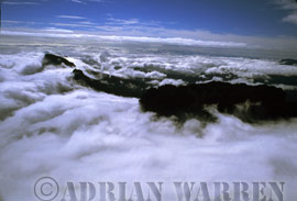 A Tepui in clouds