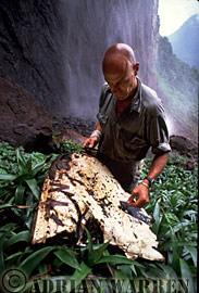 Steve Groves with the remains of the helicopter at base of Angel Falls