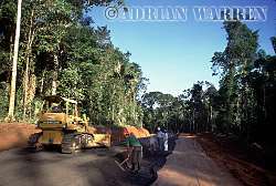 A new Oil Company Road in WAORANI INDIANS Territory, Cononaco Area, Ecuador, 1993 