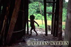 Waorani Indians, rio Cononaco, Ecuador, 1993
