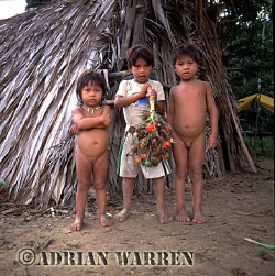 Waorani children, 2002